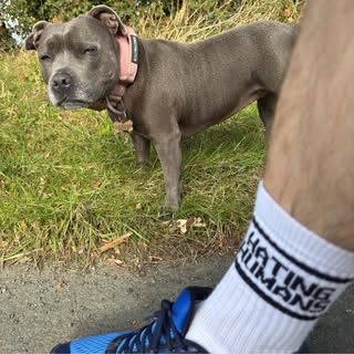 Profile photo
