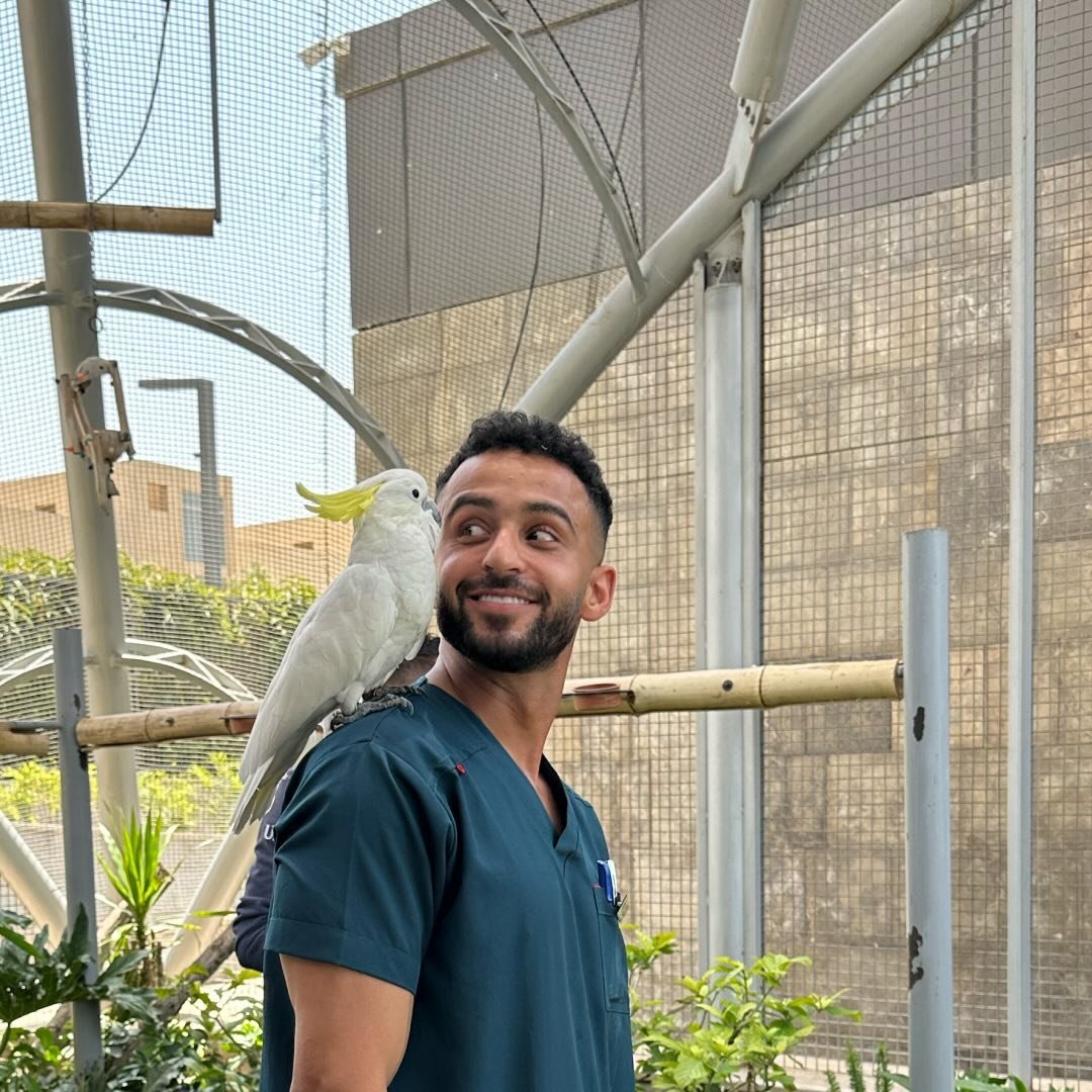 Profile photo