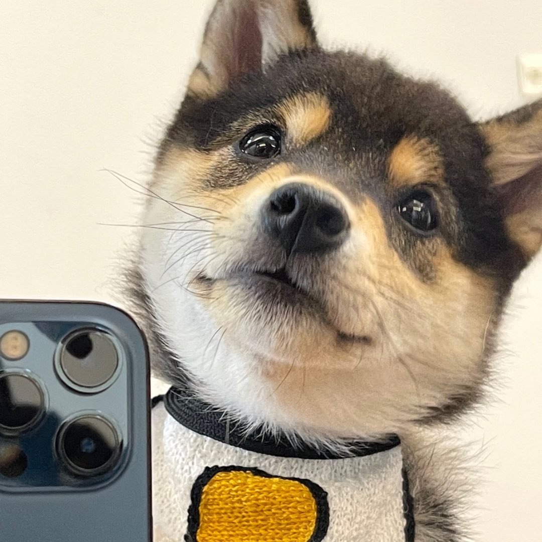 Profile photo