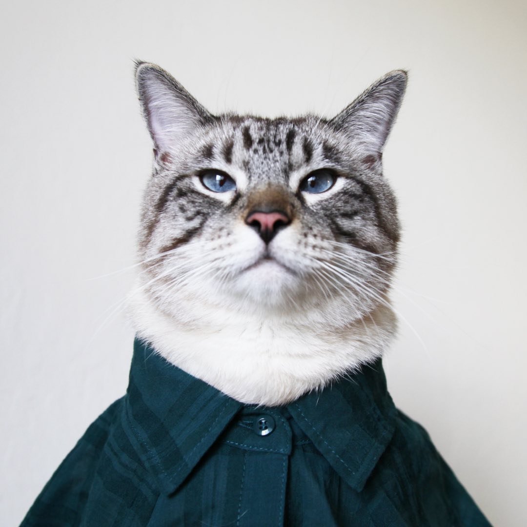 Profile photo