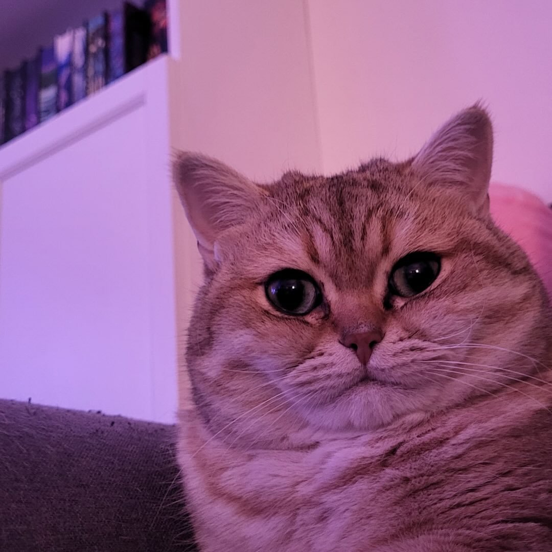 Profile photo