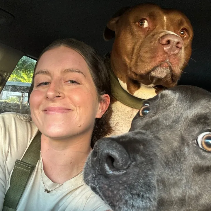Profile photo