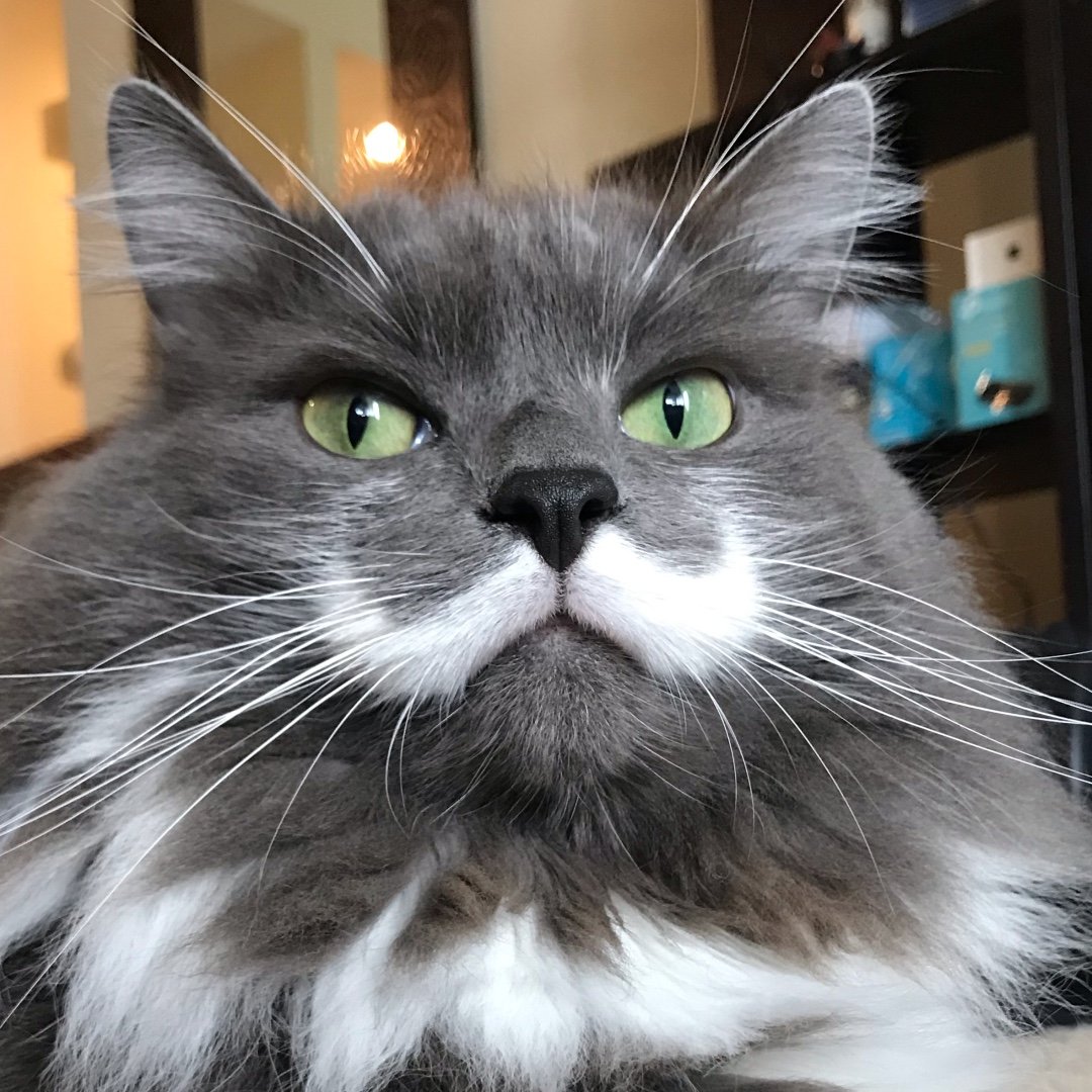 Profile photo