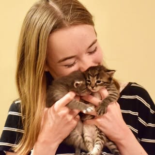 Profile photo