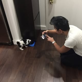 Profile photo