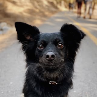 Profile photo