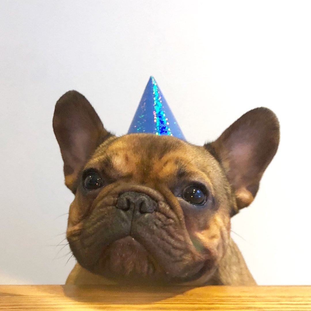 Profile photo