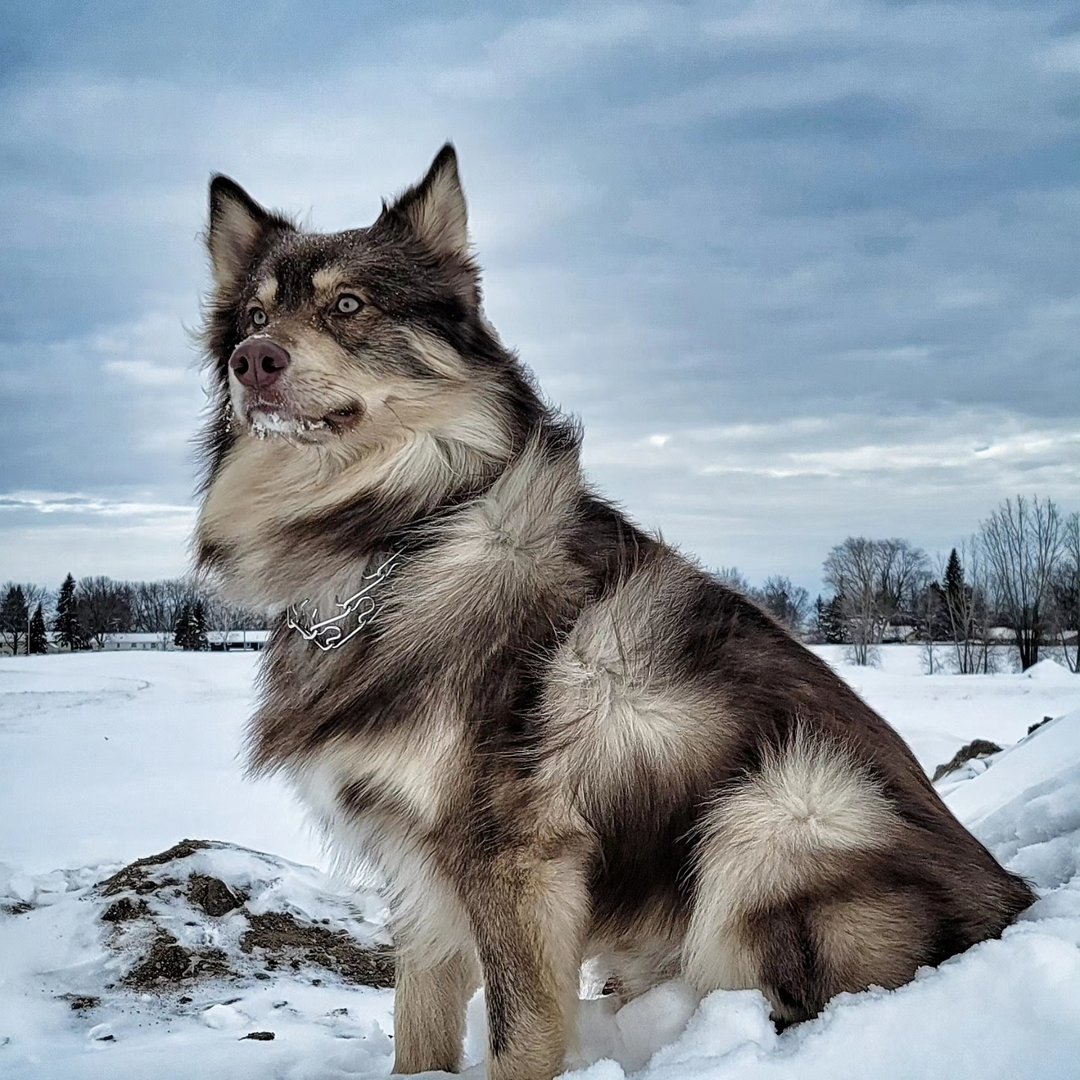 Profile photo
