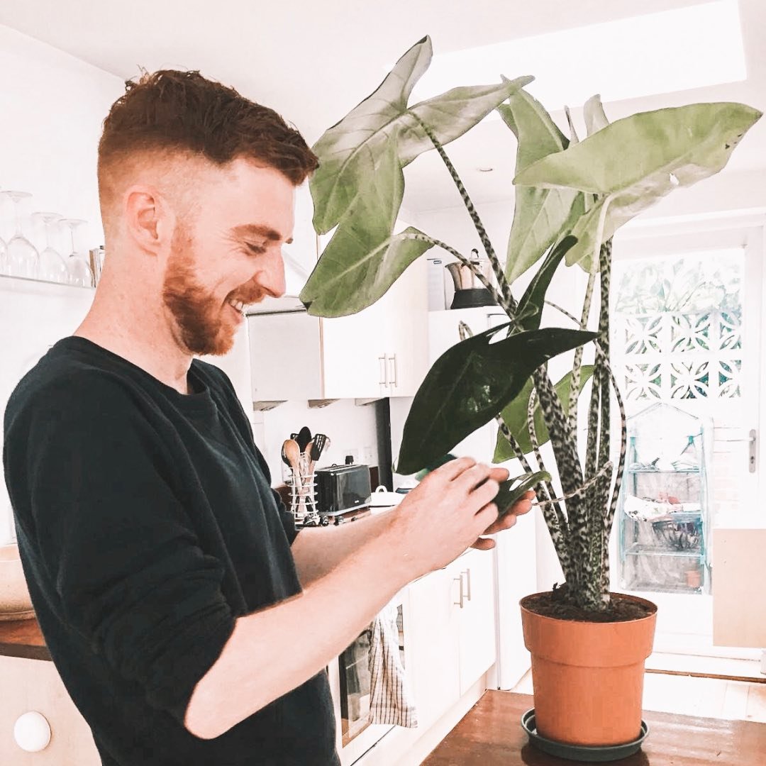 Profile photo