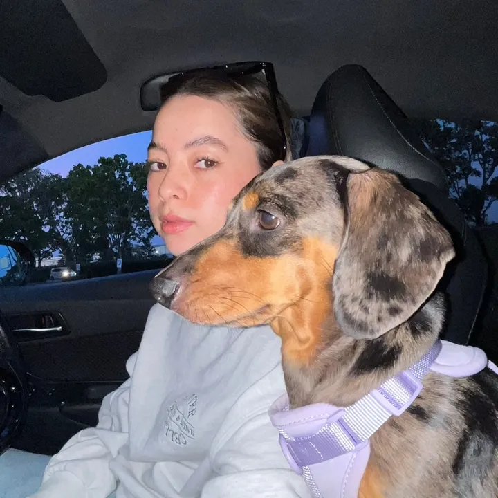 Profile photo