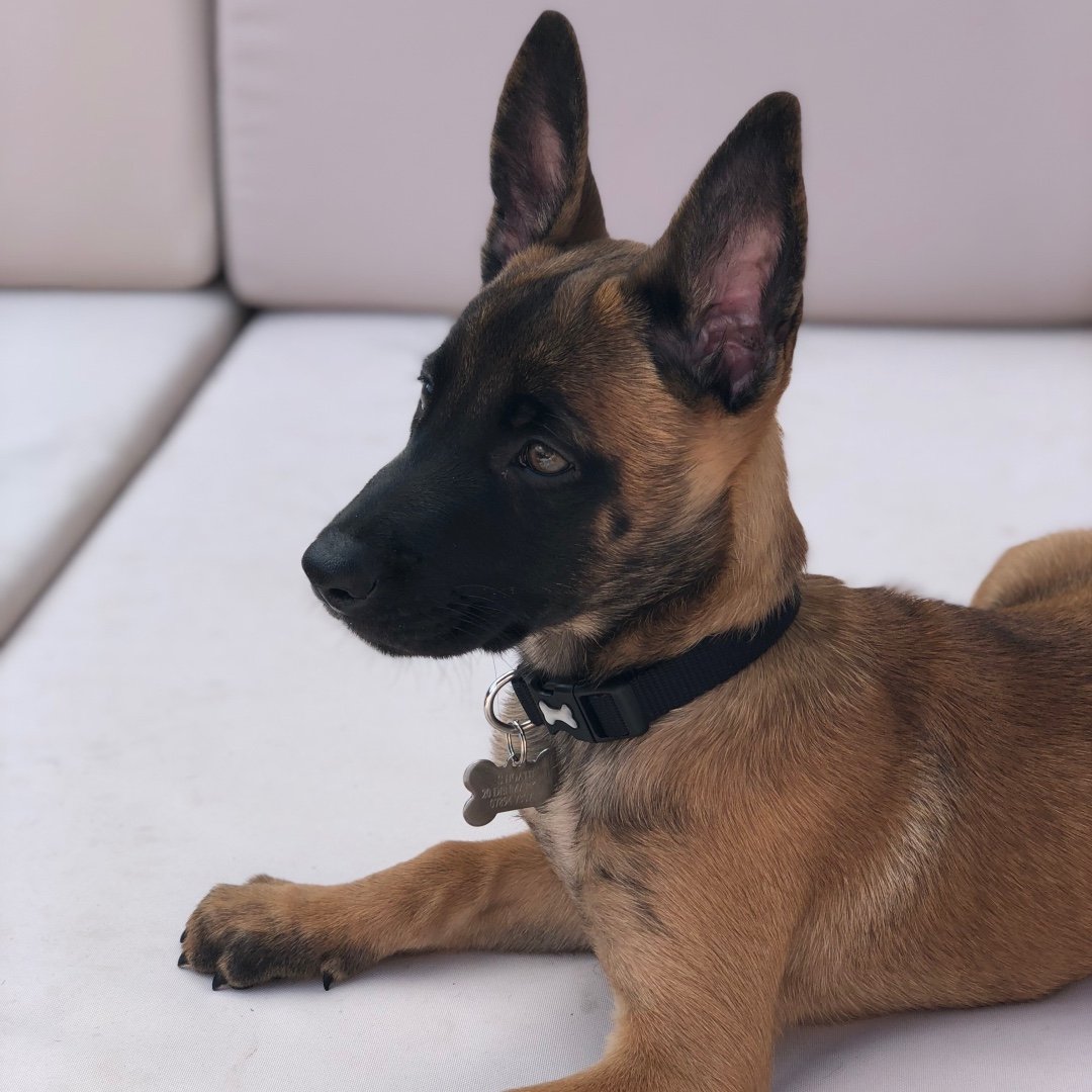 Profile photo