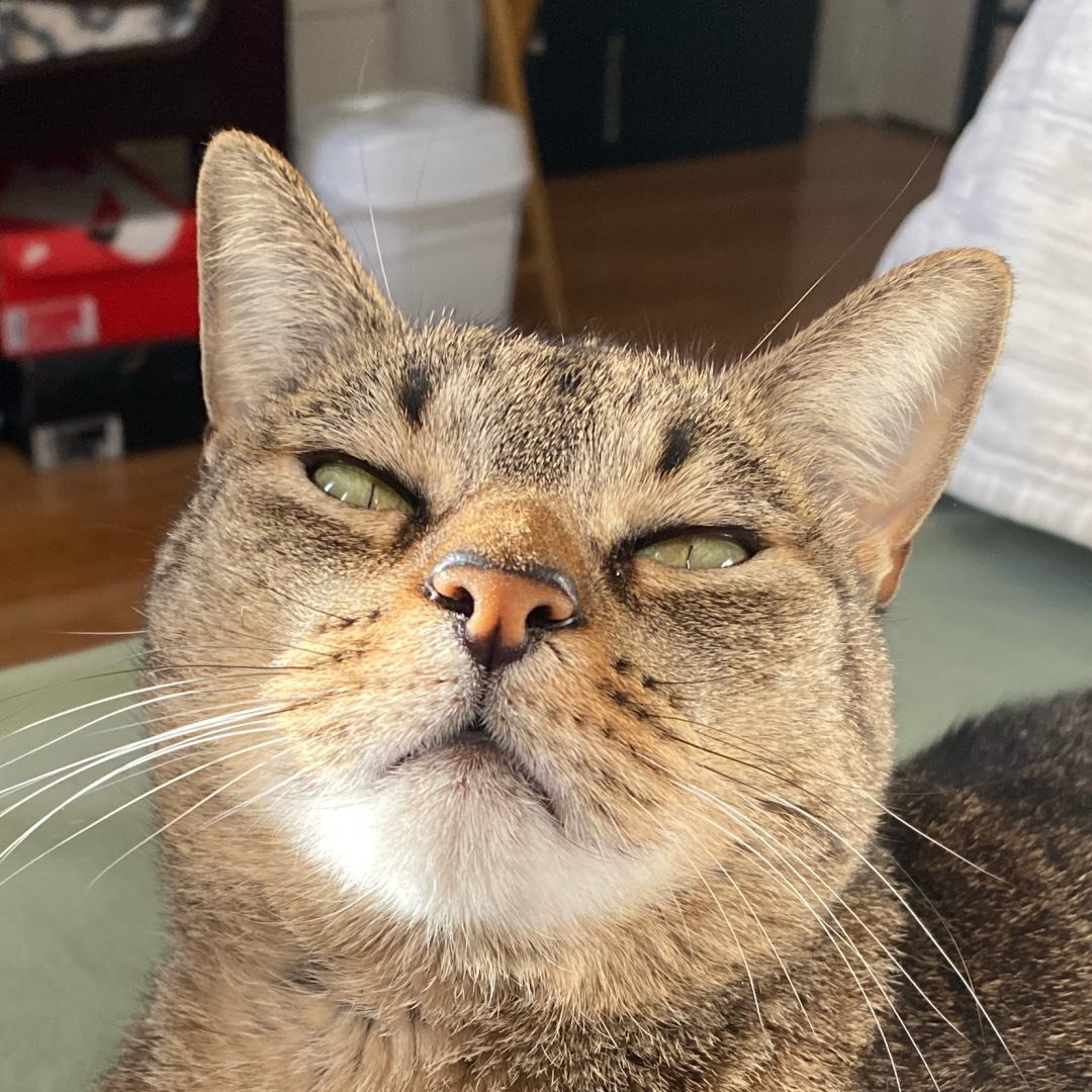 Profile photo