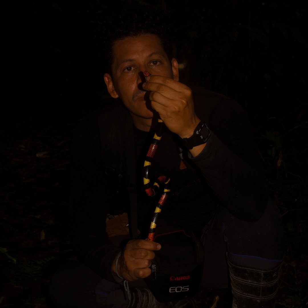 Profile photo