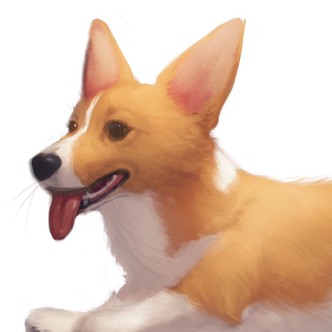 Profile photo