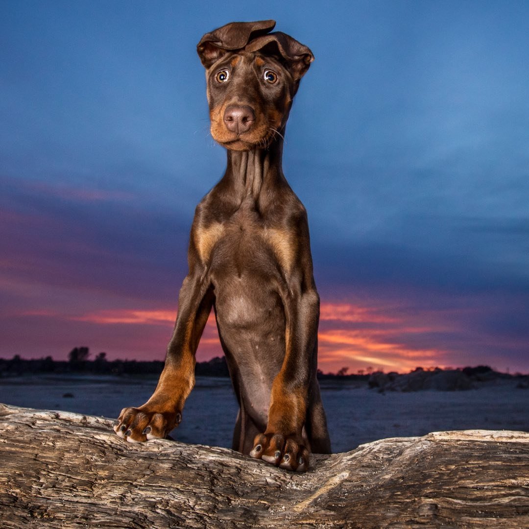Profile photo